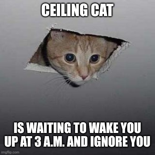 Ceiling Cat | CEILING CAT; IS WAITING TO WAKE YOU UP AT 3 A.M. AND IGNORE YOU | image tagged in memes,ceiling cat | made w/ Imgflip meme maker