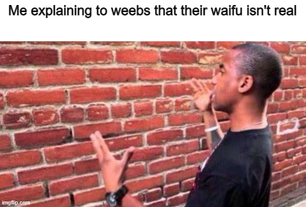 She isn't real, not sorry. | Me explaining to weebs that their waifu isn't real | image tagged in brick wall,AnimeHate | made w/ Imgflip meme maker