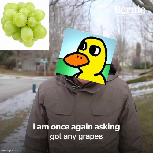 Bernie I Am Once Again Asking For Your Support Meme | got any grapes | image tagged in memes,bernie i am once again asking for your support | made w/ Imgflip meme maker