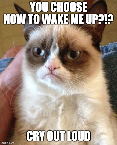 Grumpy Cat Meme | YOU CHOOSE NOW TO WAKE ME UP?!? CRY OUT LOUD | image tagged in memes,grumpy cat | made w/ Imgflip meme maker