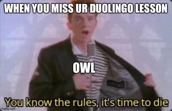 Duolingo: DIE B- | WHEN YOU MISS UR DUOLINGO LESSON; OWL | image tagged in you know the rules it's time to die | made w/ Imgflip meme maker