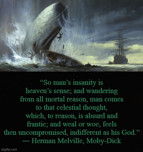 “So man’s insanity is heaven’s sense; and wandering from all mortal reason, man comes to that celestial thought, which, to reason, is absurd and frantic; and weal or woe, feels then uncompromised, indifferent as his God.”
― Herman Melville, Moby-Dick | image tagged in literature,whale,sea,classics | made w/ Imgflip meme maker
