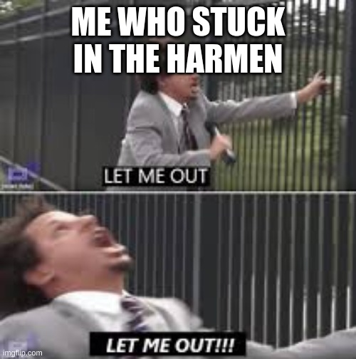 let me out | ME WHO STUCK IN THE HARMEN | image tagged in let me out | made w/ Imgflip meme maker
