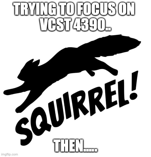 squirrel |  TRYING TO FOCUS ON 
VCST 4390.. THEN..... | image tagged in squirrel | made w/ Imgflip meme maker