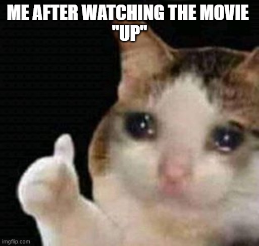 sad thumbs up cat | ME AFTER WATCHING THE MOVIE 
"UP" | image tagged in sad thumbs up cat | made w/ Imgflip meme maker