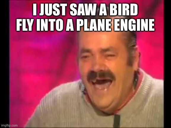 I was planespotting and it happened | I JUST SAW A BIRD FLY INTO A PLANE ENGINE | image tagged in spanish guy laughing | made w/ Imgflip meme maker