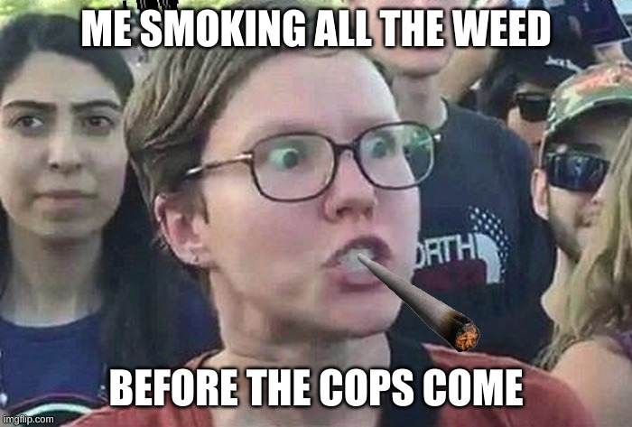 Triggered Liberal | ME SMOKING ALL THE WEED; BEFORE THE COPS COME | image tagged in triggered liberal | made w/ Imgflip meme maker