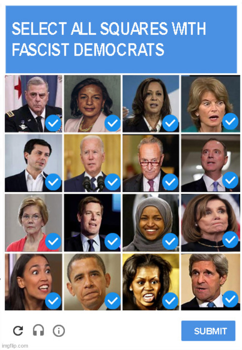 Fascists | image tagged in fascist democrats | made w/ Imgflip meme maker