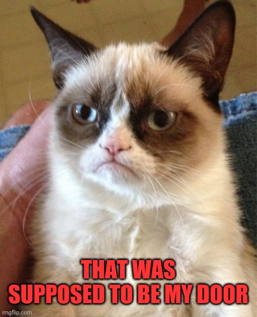 Grumpy Cat Meme | THAT WAS SUPPOSED TO BE MY DOOR | image tagged in memes,grumpy cat | made w/ Imgflip meme maker