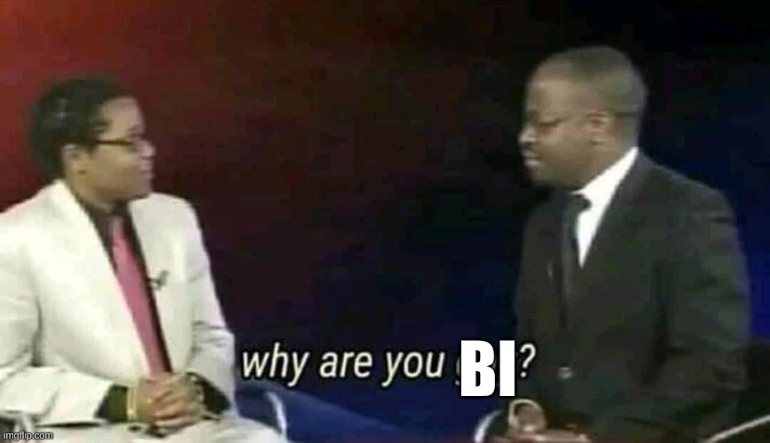 Why are you gay? | BI | image tagged in why are you gay | made w/ Imgflip meme maker