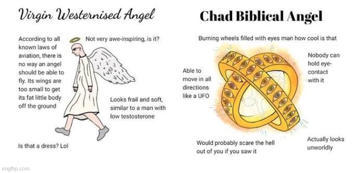 As a person of Presbyterian religion, this scares the shit outta me. | image tagged in holy bible,holy shit,what the hell is this,accurate,virgin vs chad | made w/ Imgflip meme maker