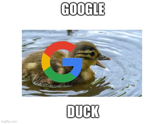 Duck | GOOGLE; DUCK | image tagged in duck | made w/ Imgflip meme maker