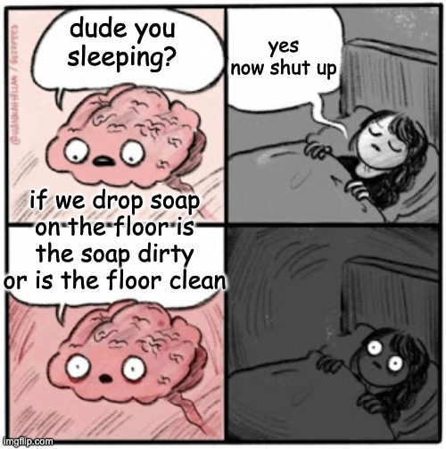 Crazy Fax #2 | yes now shut up; dude you sleeping? if we drop soap on the floor is the soap dirty or is the floor clean | image tagged in brain before sleep | made w/ Imgflip meme maker
