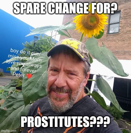 Spare Change For? | SPARE CHANGE FOR? PROSTITUTES??? | image tagged in peter plant,begging,upvote begging | made w/ Imgflip meme maker
