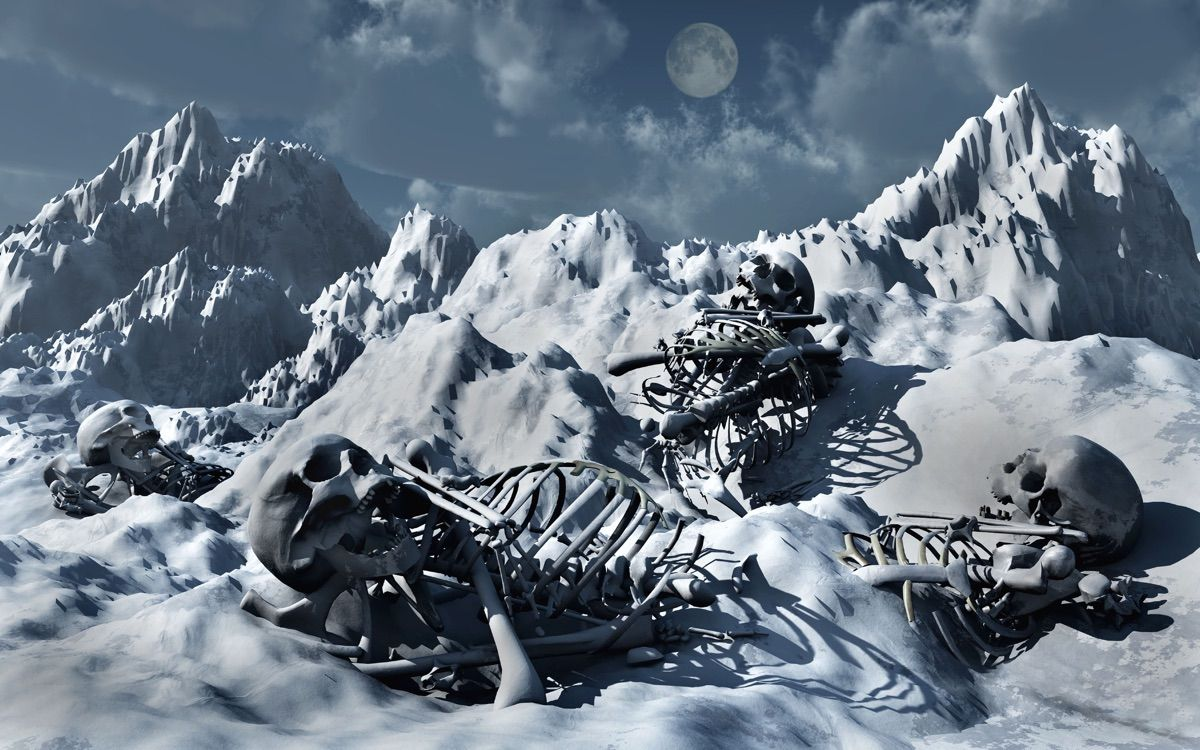 skeletons in the snow Blank Meme Template