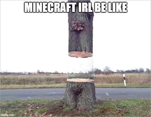 Minecraft IRL |  MINECRAFT IRL BE LIKE | image tagged in minecraft,gaming,irl,tree,funny,meme | made w/ Imgflip meme maker