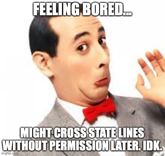 Funny that liberals don't believe in national borders | FEELING BORED... MIGHT CROSS STATE LINES WITHOUT PERMISSION LATER. IDK. | image tagged in kyle rittenhouse,state lines,liberals,borders | made w/ Imgflip meme maker