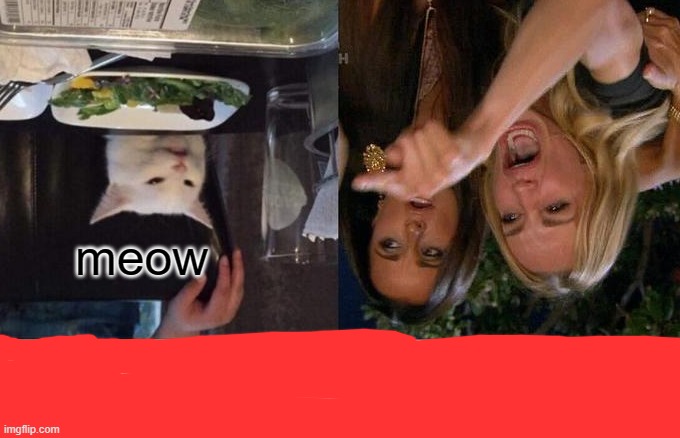 Woman Yelling At Cat | meow | image tagged in memes,woman yelling at cat | made w/ Imgflip meme maker