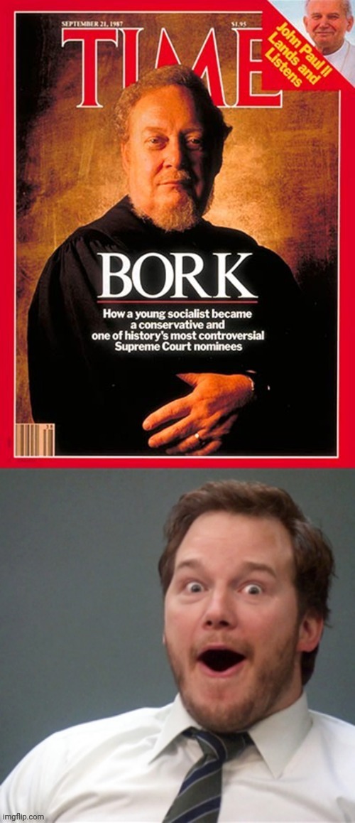 Wait... | image tagged in bork,borkenstein,doggotics,conservative bork,the father of bork,robert bork | made w/ Imgflip meme maker