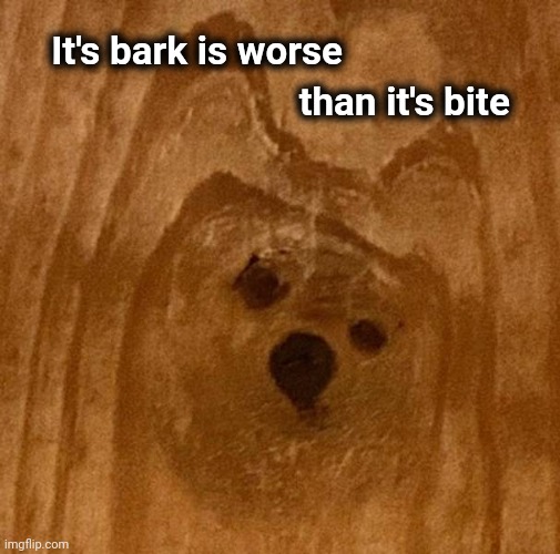 From a Dogwood tree |  It's bark is worse; than it's bite | image tagged in woody,happy tree friends,does your dog bite,dog hurt comic | made w/ Imgflip meme maker