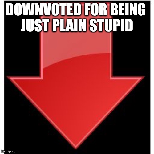 downvotes | DOWNVOTED FOR BEING 
JUST PLAIN STUPID | image tagged in downvotes | made w/ Imgflip meme maker