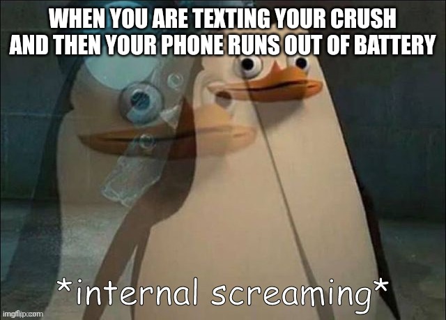 Internal screaming | WHEN YOU ARE TEXTING YOUR CRUSH AND THEN YOUR PHONE RUNS OUT OF BATTERY | image tagged in private internal screaming | made w/ Imgflip meme maker