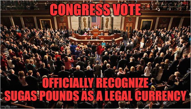 Congress | CONGRESS VOTE; OFFICIALLY RECOGNIZE SUGAS POUNDS AS A LEGAL CURRENCY | image tagged in congress | made w/ Imgflip meme maker