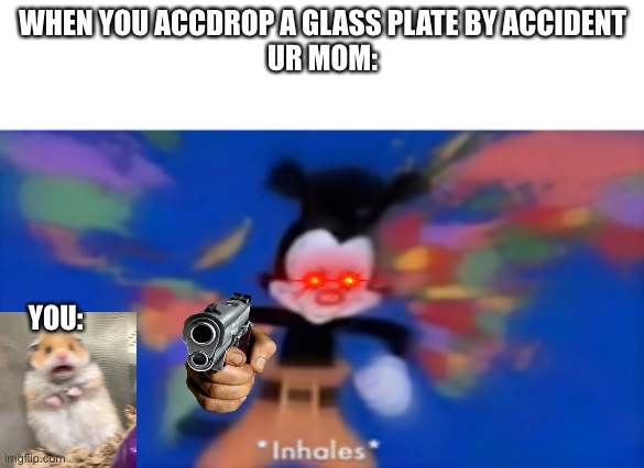 Have this ever happened to you? | WHEN YOU ACCIDENTALLY DROP A GLASS PLATE BY ACCIDENT
UR MOM:; YOU: | image tagged in yakko inhale,mom,break | made w/ Imgflip meme maker