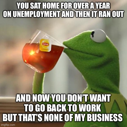 Unemployment Stimulus | YOU SAT HOME FOR OVER A YEAR ON UNEMPLOYMENT AND THEN IT RAN OUT; AND NOW YOU DON’T WANT TO GO BACK TO WORK 
BUT THAT’S NONE OF MY BUSINESS | image tagged in memes,but that's none of my business,kermit the frog | made w/ Imgflip meme maker