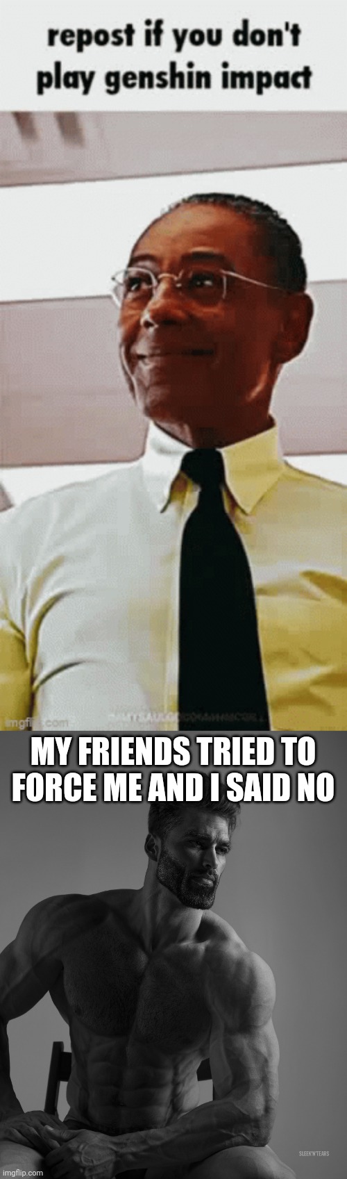 MY FRIENDS TRIED TO FORCE ME AND I SAID NO | image tagged in giga chad | made w/ Imgflip meme maker