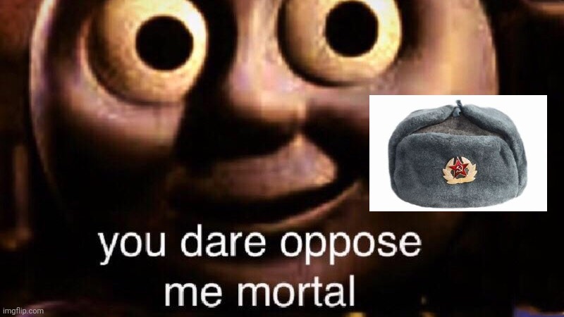 You dare oppose me mortal | image tagged in you dare oppose me mortal | made w/ Imgflip meme maker