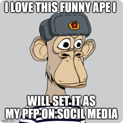 he makes me SCREAM |  I LOVE THIS FUNNY APE I; WILL SET IT AS MY PFP ON SOCIL MEDIA | image tagged in crypto,shypto,shitto,shitting | made w/ Imgflip meme maker