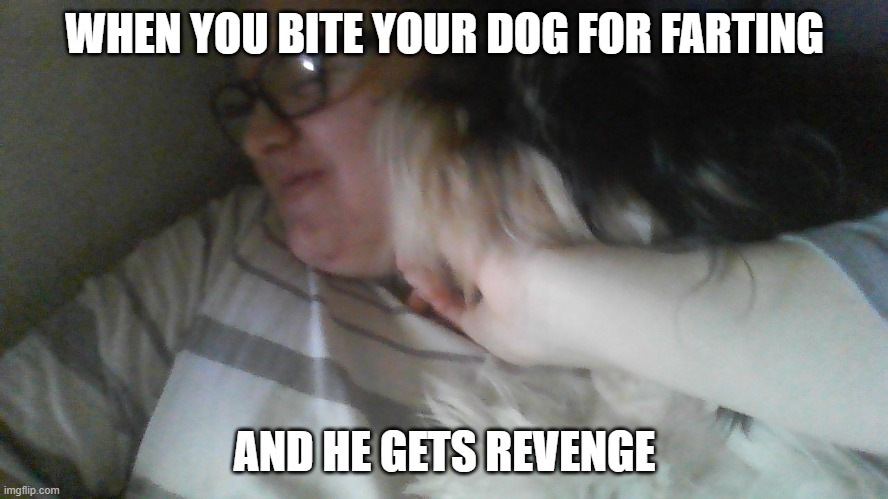 dog attack | WHEN YOU BITE YOUR DOG FOR FARTING; AND HE GETS REVENGE | image tagged in dog attack | made w/ Imgflip meme maker