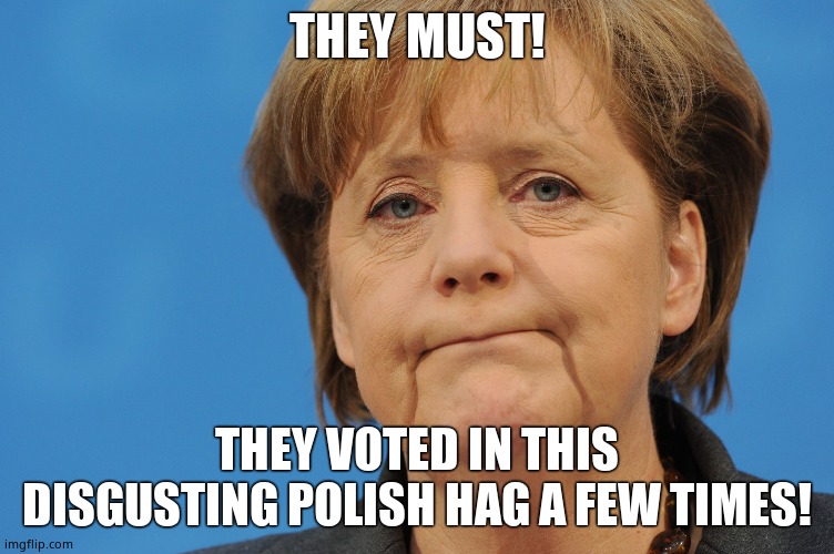 Angela Merkel Frown | THEY MUST! THEY VOTED IN THIS DISGUSTING POLISH HAG A FEW TIMES! | image tagged in angela merkel frown | made w/ Imgflip meme maker