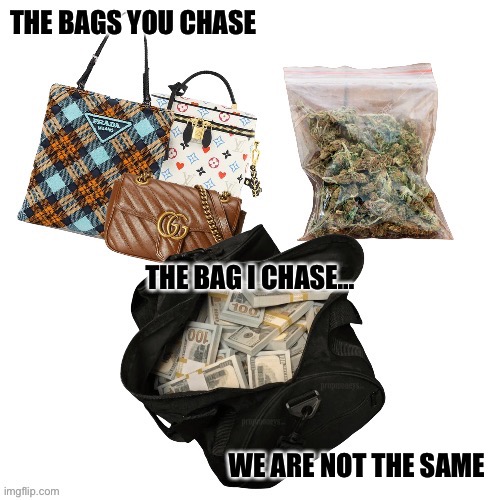 Bag Chasin’ | WE ARE NOT THE SAME | image tagged in memes | made w/ Imgflip meme maker