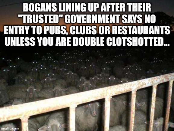 Sleepysheep | BOGANS LINING UP AFTER THEIR "TRUSTED" GOVERNMENT SAYS NO ENTRY TO PUBS, CLUBS OR RESTAURANTS UNLESS YOU ARE DOUBLE CLOTSHOTTED... | image tagged in sheeple | made w/ Imgflip meme maker
