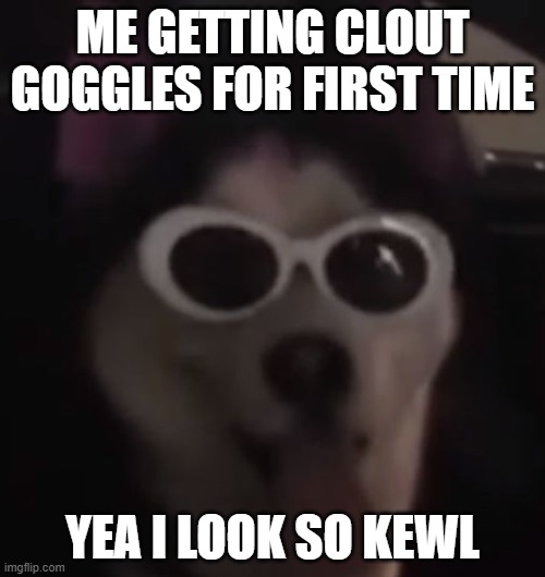 Clout doggie | image tagged in clout doggie | made w/ Imgflip meme maker