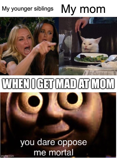 My younger siblings; My mom; WHEN I GET MAD AT MOM | image tagged in memes,woman yelling at cat,you dare oppose me mortal,siblings | made w/ Imgflip meme maker