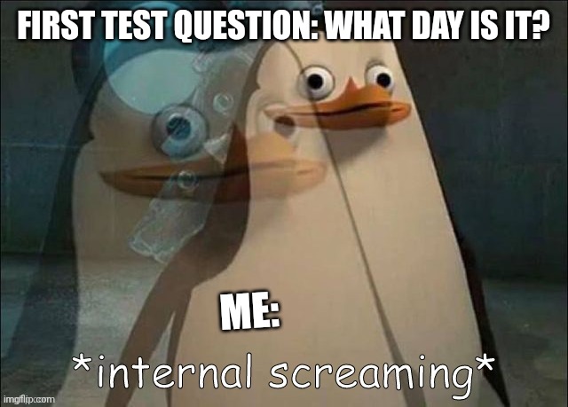 ? | FIRST TEST QUESTION: WHAT DAY IS IT? ME: | image tagged in private internal screaming | made w/ Imgflip meme maker
