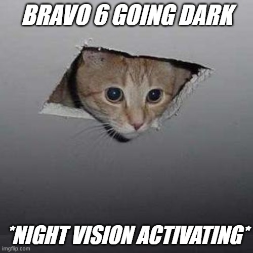 Ceiling Cat | BRAVO 6 GOING DARK; *NIGHT VISION ACTIVATING* | image tagged in memes,ceiling cat | made w/ Imgflip meme maker