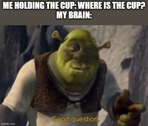 Let's play: spot the cup! | ME HOLDING THE CUP: WHERE IS THE CUP?
MY BRAIN: | image tagged in shrek good question | made w/ Imgflip meme maker