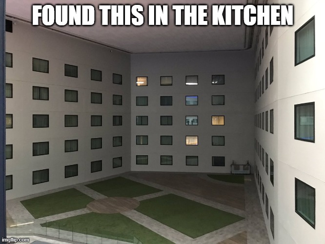 What should I do? |  FOUND THIS IN THE KITCHEN | image tagged in courtyard of windows backrooms level 188 | made w/ Imgflip meme maker