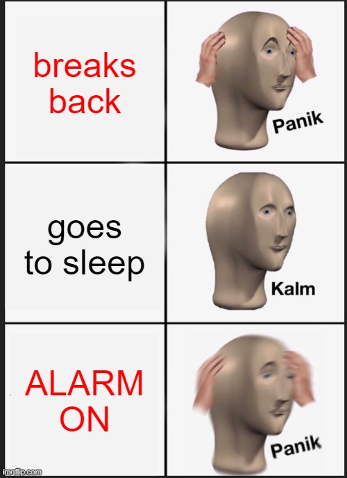 DONT make NOISE | breaks back; goes to sleep; ALARM ON | image tagged in memes,panik kalm panik | made w/ Imgflip meme maker