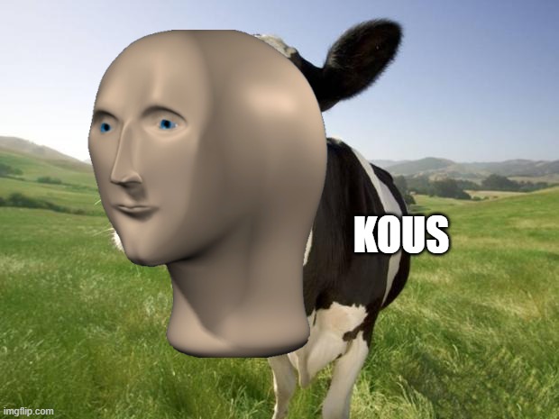 KOUS | made w/ Imgflip meme maker