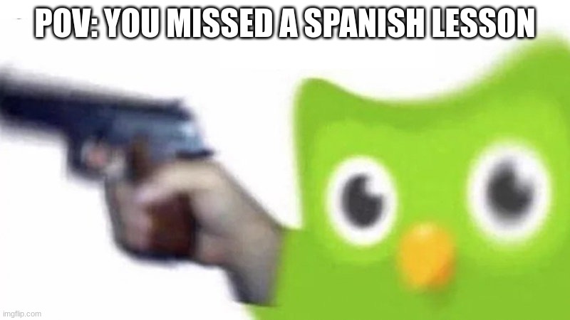 when you miss a spanish lesson | POV: YOU MISSED A SPANISH LESSON | image tagged in duolingo gun | made w/ Imgflip meme maker