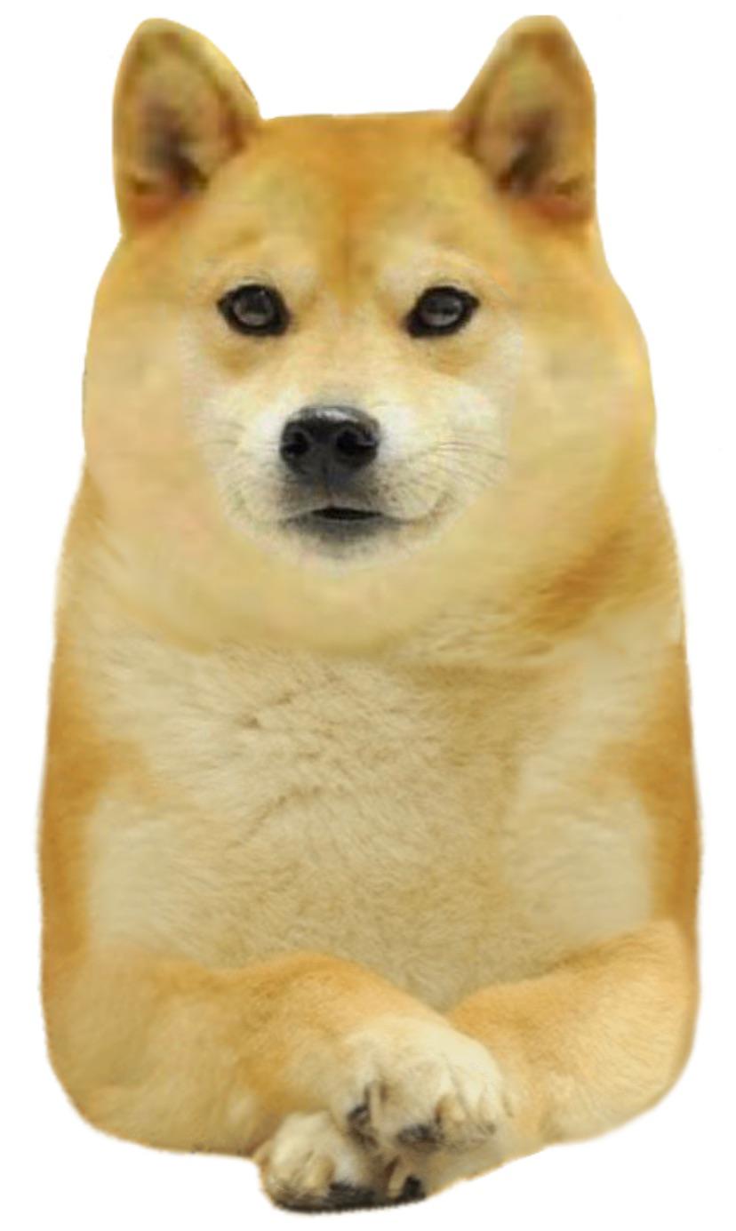 Front facing doge Blank Meme Template