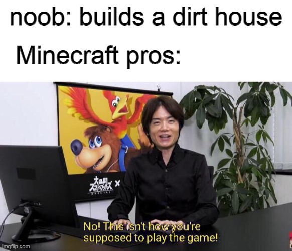 noobs. | noob: builds a dirt house; Minecraft pros: | image tagged in no this isn't how you're supposed to play the game | made w/ Imgflip meme maker