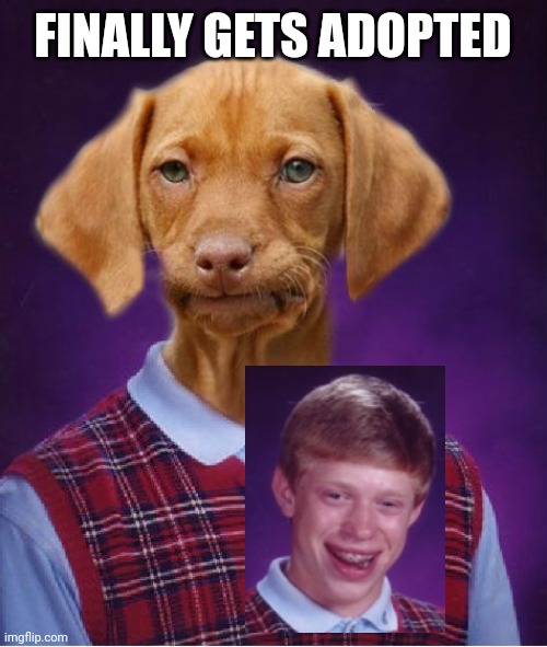 Bad Luck Raydog | FINALLY GETS ADOPTED | image tagged in bad luck raydog | made w/ Imgflip meme maker