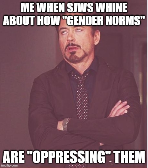 Me when SJWs whine about gender norms |  ME WHEN SJWS WHINE ABOUT HOW "GENDER NORMS"; ARE "OPPRESSING" THEM | image tagged in memes,face you make robert downey jr,sjws,cancel culture | made w/ Imgflip meme maker