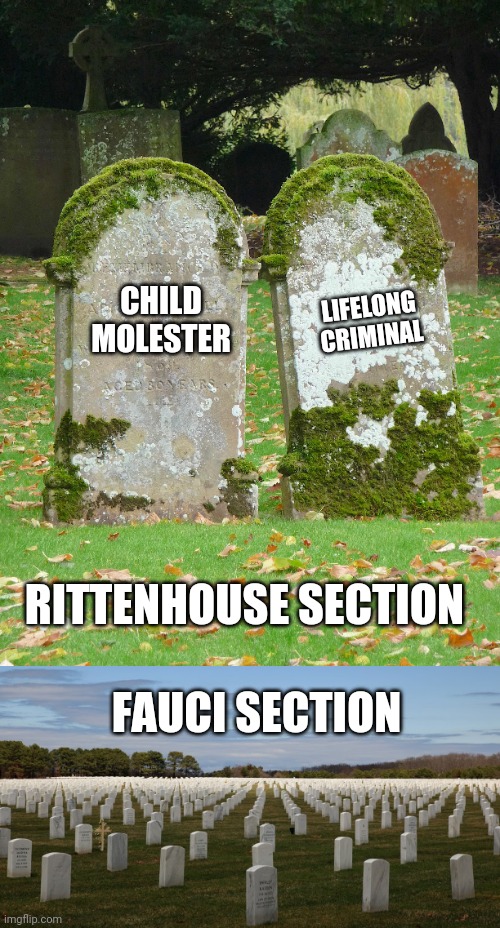 Just leaving this here | LIFELONG CRIMINAL; CHILD MOLESTER; RITTENHOUSE SECTION; FAUCI SECTION | image tagged in politics | made w/ Imgflip meme maker